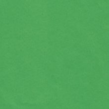 Silkespapper - CT - 50 x 76 cm - Grön