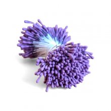 pistiller plommonlila lila