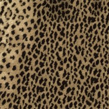 Omslagspapper - 3222 - 5 m - Leopard