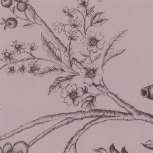 Omslagspapper - 3225 - 2 m - Blommor