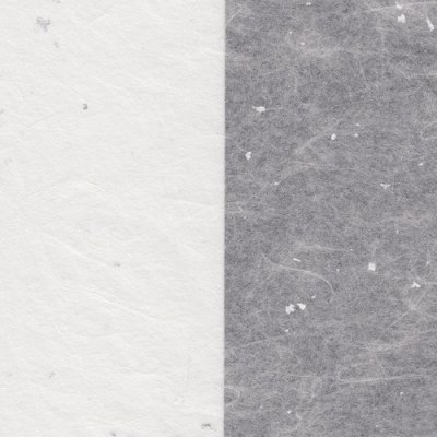 Silver Fleck Tissue