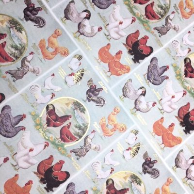 Rossi DP 190 - Höns - Blandade färger