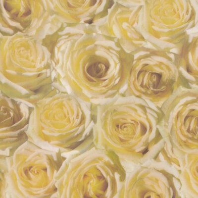 Transparent papper 73000 - Vita Rosor - Gul/Brun