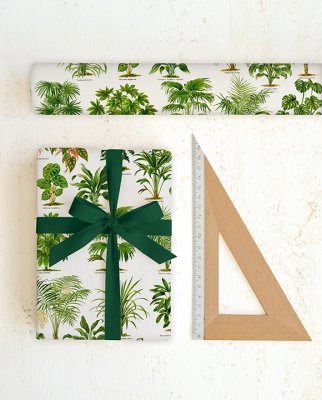 Tassotti 91499 - Piante Ornamentali