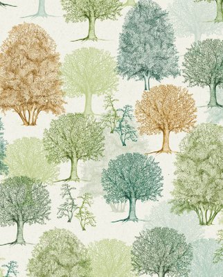 Tassotti 91565 - Eco bosco