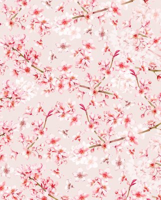 Tassotti 91574 - Körsbärsblomma - Rosa/Vit