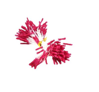 frost pistiller cerise röd