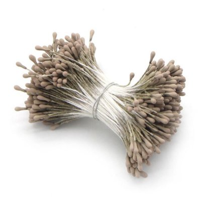 cappuccino pistiller