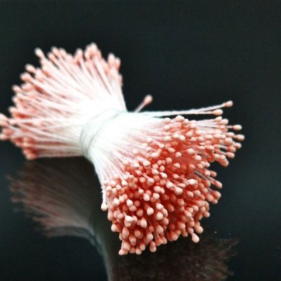 Pistiller
