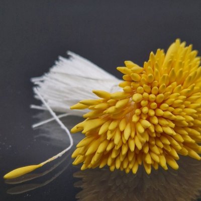 pistiller matt tusenskönagul