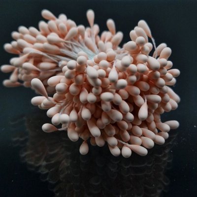 pistiller ljusrosa