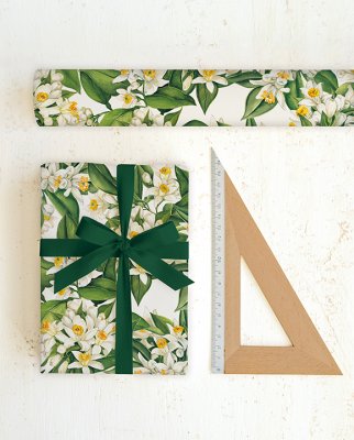 Tassotti 9182 - Fiori d'arancio