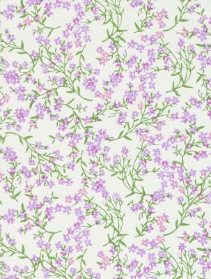 Japanskt papper - Katazome-shi