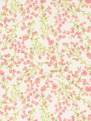 Japanskt papper - Katazome-shi