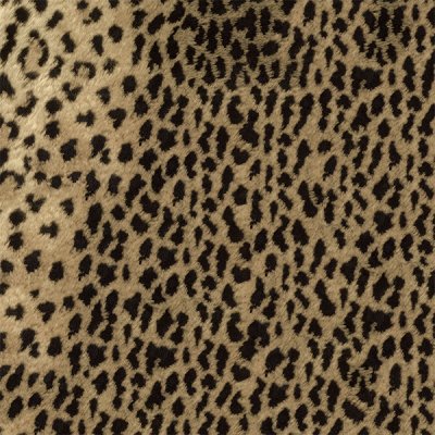 Omslagspapper - 3222 - 2 m - Leopard