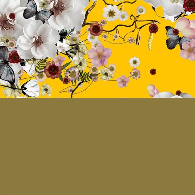 Omslagspapper - 3636 - 5 m - Colorful Apple Bloom