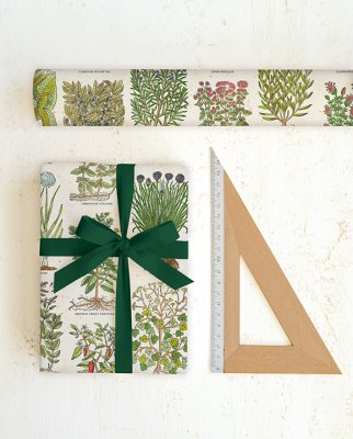 Tassotti 9305 - Erbe da cucina - Vit /Grön