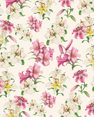 Tassotti 9311 - Lilium