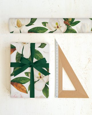 Tassotti 9312 - Magnolia - Créme /Grön