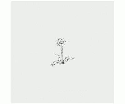 Gummistämpel på kloss - Blommor - Maskros