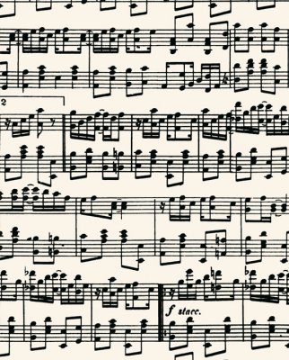 Tassotti 9666 - Note Musicali - Svart/Vit