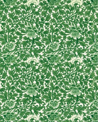 Tassotti 97124 - Provenza verde - Grön