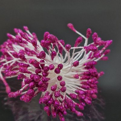 pistiller glitter cerise