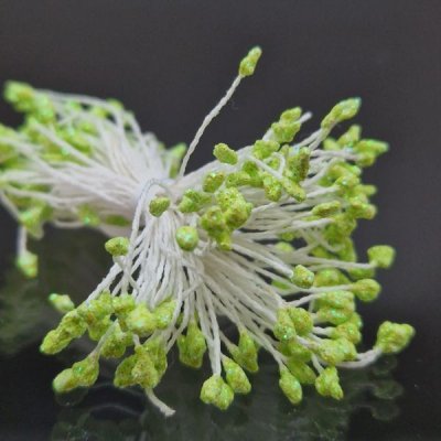 pistiller ljusgrön glitter