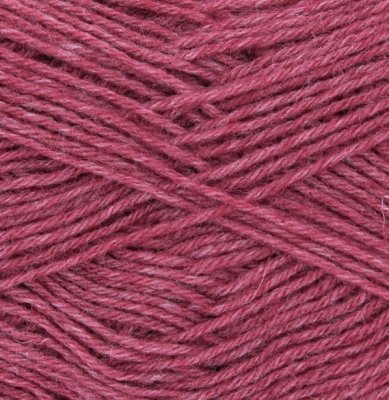 Hot Socks Uni 50