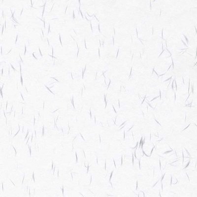 Japansk papper Tairei Vit Grå