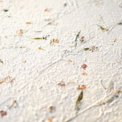 Taipapper - Kalìt 006 - Blommor - Naturvit