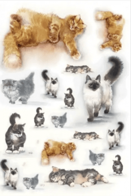Decoupage