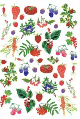 Decoupage Bär Naturen