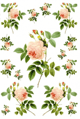 Decoupage Blommor Naturen