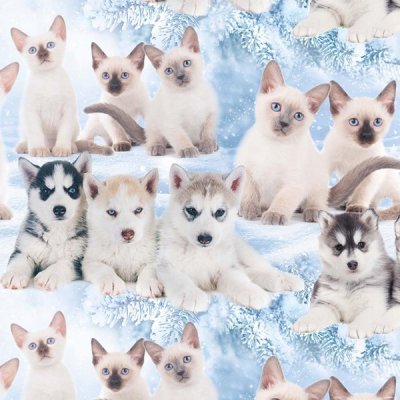 Trikåtyg husky kattunge